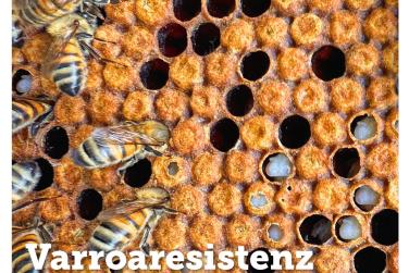 Titelbild Sonderheft