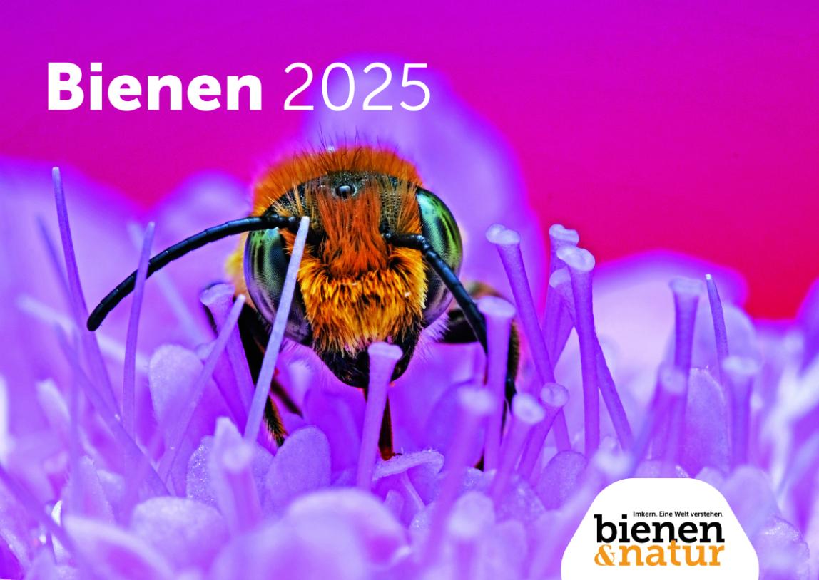 Wandkalender Bienen 2025