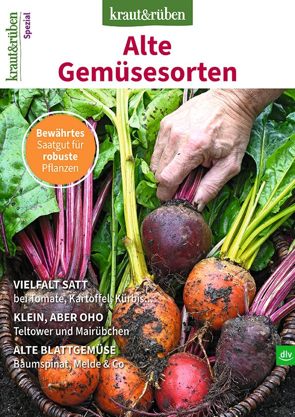 cover k&r Spezial 2/25