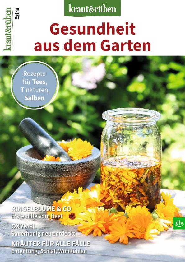 kraut und rüben Cover SH 3/25