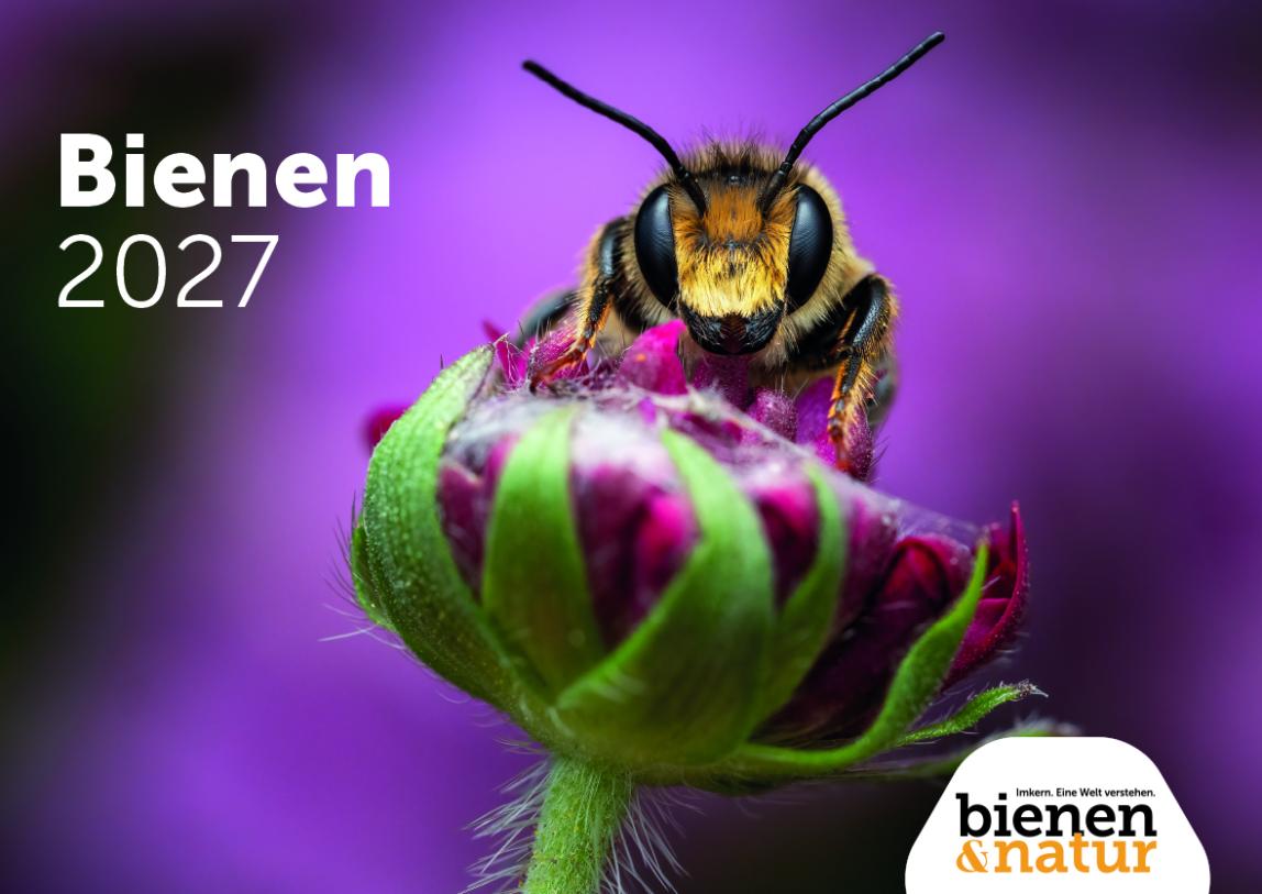Titelbild Wandkalender Bienen 2027