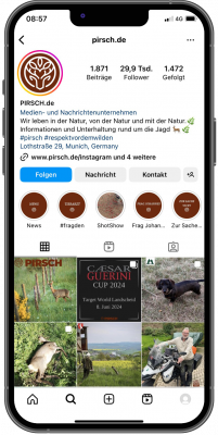 Abbildung: Ein Smartphone mit Inhalten des Instagram-Kanals