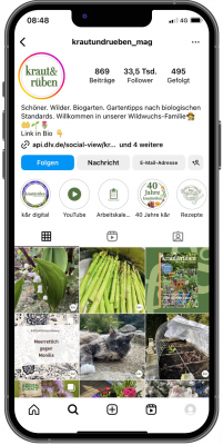 Abbildung: Ein Smartphone mit Inhalten des Instagram-Kanals