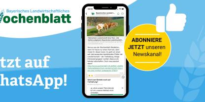 Wochenblatt-WhatsApp-Kanal