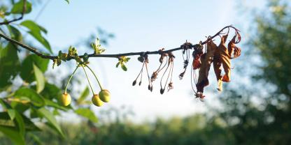 AdobeStock_128040372