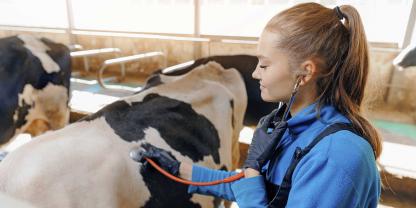 Der neue Tierärzteverband sieht sich auch als Partner der Rinderhalter.