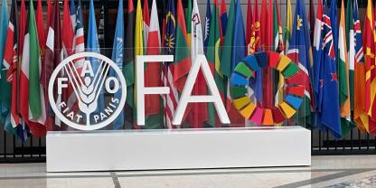 Bei der  Welternährungsorganisation der Vereinten Nationen (FAO) in Rom wurde über Honigverfälschungen beraten.