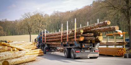 Ein Holztransport in einem Sägewerk