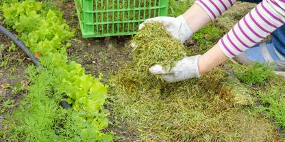 Mulch bringt viele Vorteile.