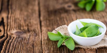 Stevia ist als Zuckerersatz bereits in aller Munde. Hierzulande gedeiht die süße Südamerikanerin im Sommer.