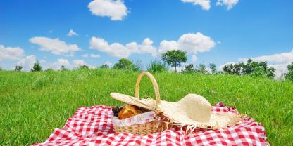Picknick im Grünen