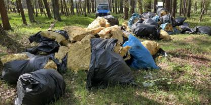 Bauschutt, Dämmmaterial und Asbestplatten in einem Wald