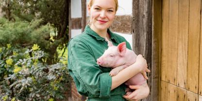 Afrikanische Schweinepest – Die Krankheit ist für Menschen harmlos, für Schweine jedoch meist tödlich.