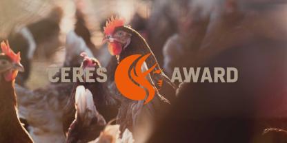 Hier stellen wir die drei diesjährigen Finalisten in der CERES AWARD-Kategorie Geflügelhalter.