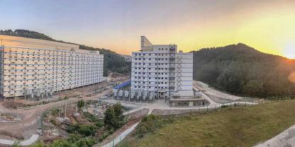 Südkorea will ein Schweinehochhaus nach chinesischem Vorbild bauen (Symbolbild).