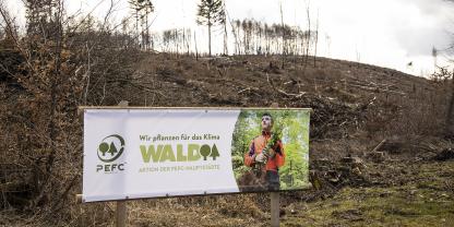 Pflanzaktionen in den PEFC-Waldhauptstädten.