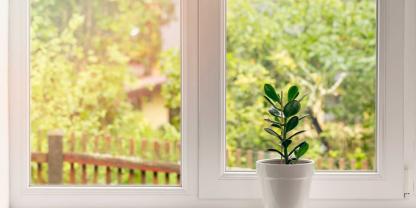 Fenster