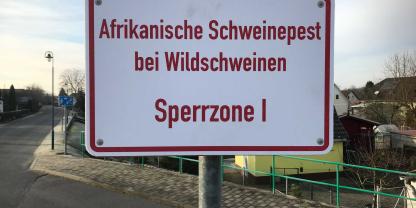 In Nordrhein-Westfalen ist die Afrikanische Schweinepest ausgebrochen.