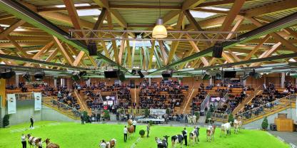 Großzügige Schaulocation: die Arena Hohenlohe. Rangiert wird in zwei Ringen.