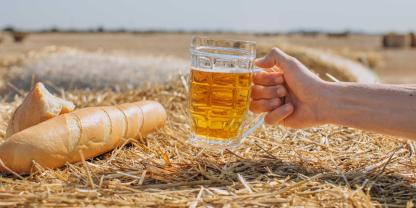 Was wäre eine Welt ohne Bier und Brot? Forscher sehen eine Mikrobe als Helfer, dass es so bleibt.