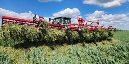 Ein Traktor mit angebautem Striegel ist mit Ackerfuchsschwanz zugesetzt. 