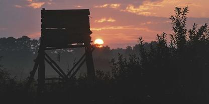 Abendansitze haben im Frühsommer ihren eigenen Reiz – es sei denn man hat mit Pollenallergie zu kämpfen.