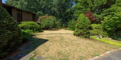 Vertrockneter Verbrannter Rasen im Garten