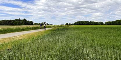 Landwirte laden zur Tour de Flur ein: Gibt es eine schönere Möglichkeit, die heimische Kulturlandschaft zu entdecken?