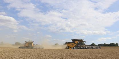 CR 10 und CR 10.90: Zwei Hochleistungsdrescher auf einem Feld dreschen um die Wette.