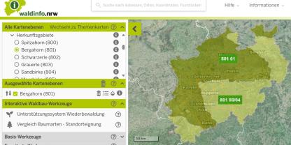 online Portal von Wald und Holz NRW