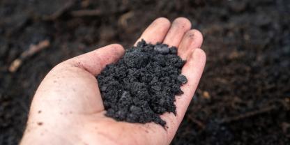 Terra Preta: So stellen Sie die schwarze Erde selbst her