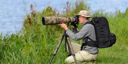 Wer sich bei der Tier- und Naturfotografie nicht an die Regeln hält, kann seltene Tier- und Pflanzenarten gefährden.