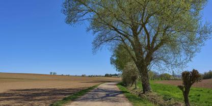Ein Feldweg kann dem öffentlichen Verkehr entzogen werden, wenn er entbehrlich ist oder Gründe des Allgemeinwohls dafür sprechen.