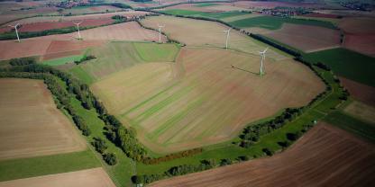 Das Grüne Band: Früher gefürchtete Grenze, heute Biodiversitäts-Hotspot inmitten von Deutschland.
