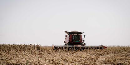 Ein Mähdrescher bei der Ernte