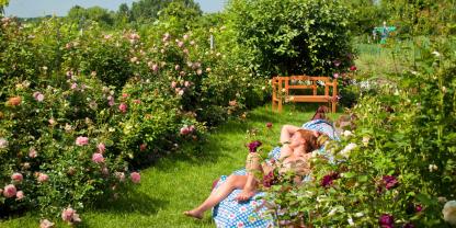 Zwischen duftenden Rosenblüten genießt sie ungestörte Sonnenstunden im eigenen Garten.