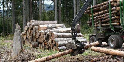 Rückewagen und Holz im Wald