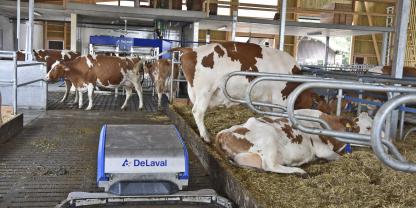 Die Schieberbreite lässt sich bei einigen Herstellern individuell auswählen. Bei DeLaval liegt sie zwischen 1,00 und 2,10 m.