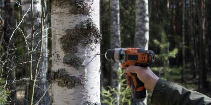 Es mag Gründe geben, Löcher in Bäume zu bohren. Vandalsimus ist kein tragbarer. (Symbolfoto)
