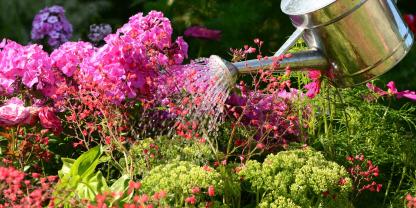 Blumen-gießen-Gießkanne