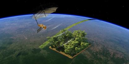 Die Bilder des Satelliten "Biomass" der ESA zeigen beeindruckende Aufnahmen der Wälder der Welt. Sie sollen nun Erkenntnisse zur Kohlenstoffspeicherung liefern.