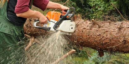 Bei Wald und Forstarbeiten ereigeneten sich im vergangenen Jahr 304 mehr Unfälle als 2023.