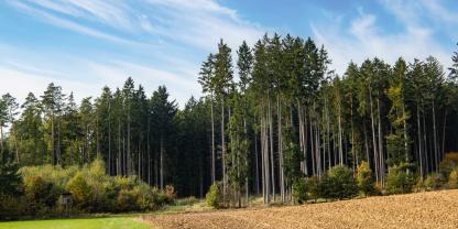 Waldbauern bewirtschaften Acker und Wald.