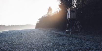 Hochsitz am Waldrand