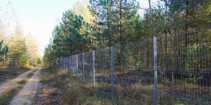 Wald-Zaun