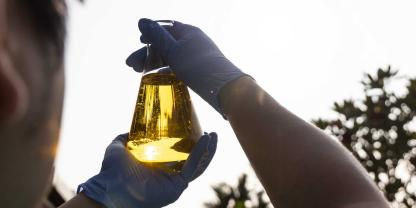 Eine Entwertung für den Markt: Der aus China importierte Biodiesel besteht offenbar aus günstigem Palmöl.