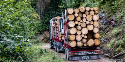 Schadholz wird per LKW abtransportiert