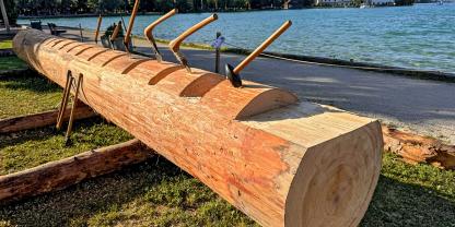 Einbaum aus Weißtanne während der Erstbearbeitung