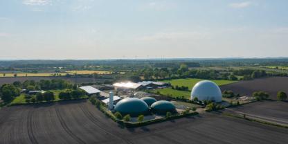 Biomasse für Biogasanlagen (Symbolbild) soll nicht mehr zu den Erneuerbaren Energien gehören.