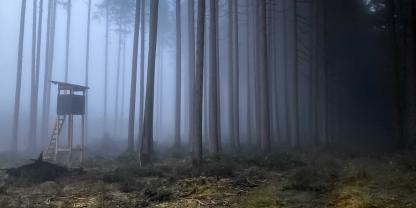 In Österreich wurde eine Jäger tot aufgefunden.